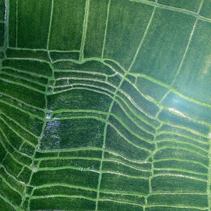 Outdoor terrace seating suitable for families in Düsseldorf